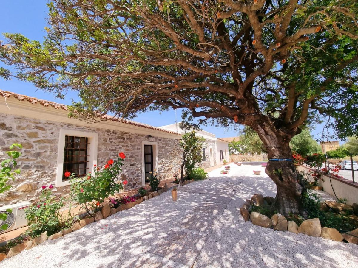 Apartamento Stazzo San Teodoro La Quercia Piscina Condivisa Exterior foto